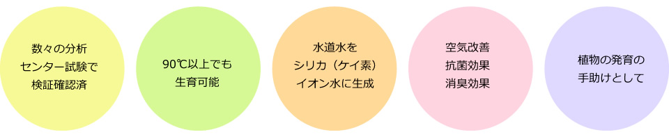 数々の分析センター試験で検証確認済・90℃以上でも生育可能・水道水をシリカ（ケイ素）イオン水に生成・空気改善抗菌効果消臭効果・植物の発育の手助けとして