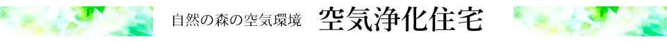 自然の森の空気環境 空気浄化住宅